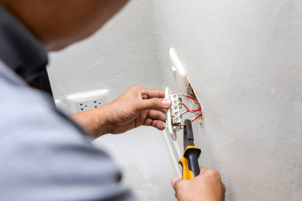 Best Electric Panel Repair  in Cao, ND